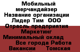 Мобильный мерчандайзер › Название организации ­ Лидер Тим, ООО › Отрасль предприятия ­ Маркетинг › Минимальный оклад ­ 22 500 - Все города Работа » Вакансии   . Томская обл.,Кедровый г.